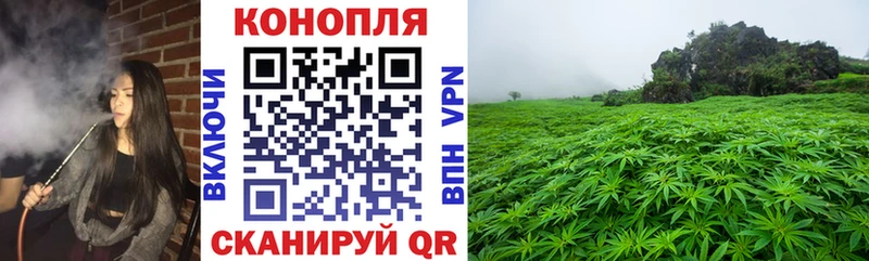 Канабис OG Kush Карабулак